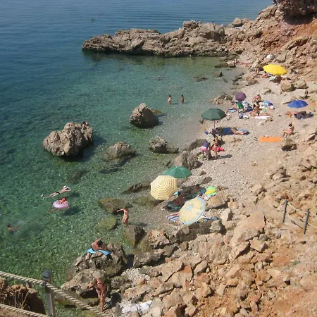 Pavelic Daire Povile